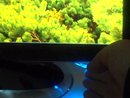 Сенсорная кнопка питания у монитора LG