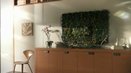 Sony Vines HD