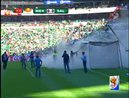 Пчелы едва не сорвали матч