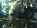 Водопад в ресторане