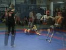 Gladiators