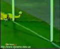 Сталь - Динамо - 2:3. ГОЛ, Шевченко (1:0)